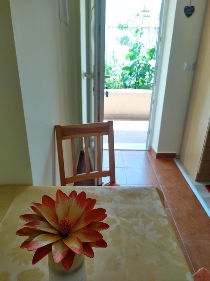 Guesthouse Anna دوبروفينك المظهر الخارجي الصورة