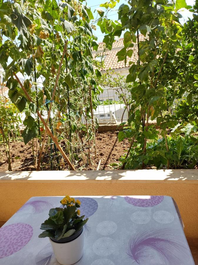 Guesthouse Anna دوبروفينك المظهر الخارجي الصورة